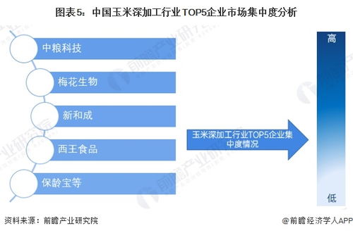 洞察2025 中国玉米深加工行业竞争格局及企业布局 附市场份额 上市企业业绩等